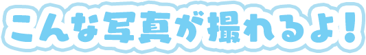 こんな写真が撮れるよ！